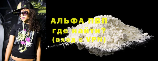 хмурый Белокуриха