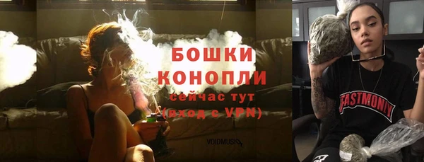 хмурый Белокуриха