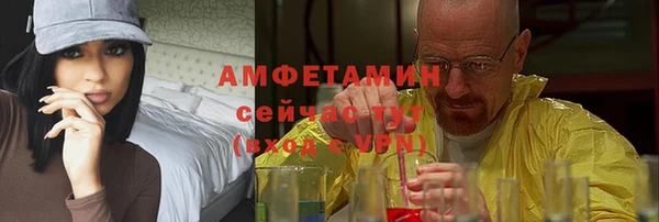 хмурый Белокуриха