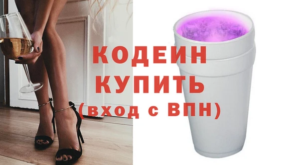 хмурый Белокуриха
