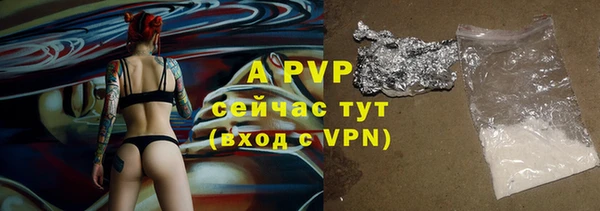 хмурый Белокуриха